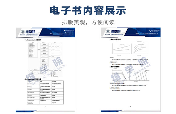 濰柴共軌燃油噴射系統(tǒng)內(nèi)容展示