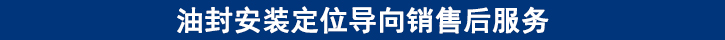 油封安裝定位導(dǎo)向銷售后服務(wù).jpg