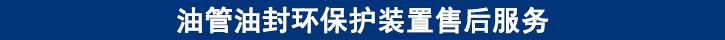 油管油封環(huán)保護(hù)裝置售后服務(wù).jpg